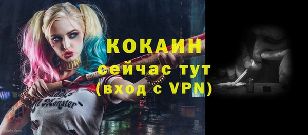 соль курить ск Каменка