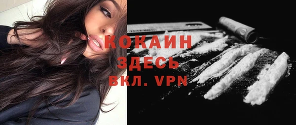 эйфоретик Каменногорск