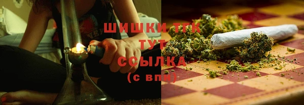 соль курить ск Каменка