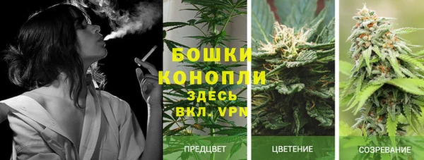 эйфоретик Каменногорск